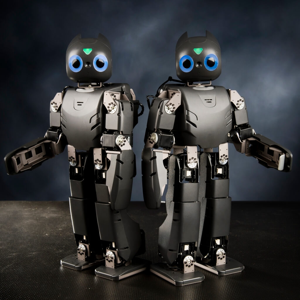 ТОП-5 роботов-участников выставки Robotics Expo 2016